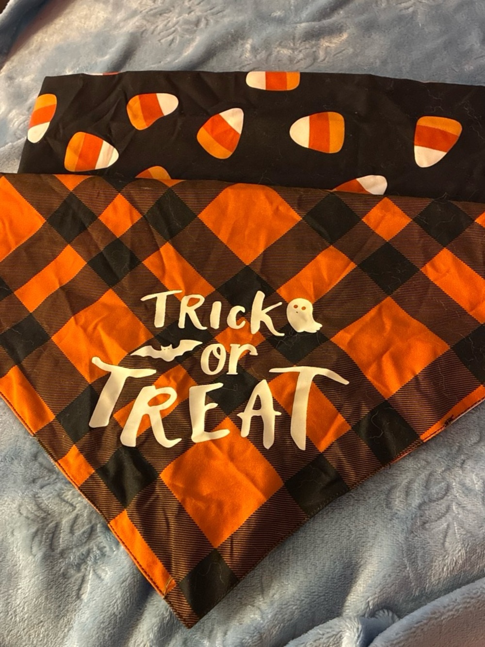 Halloween 'Trick or Treat' Orange & Black Bandana for dogs